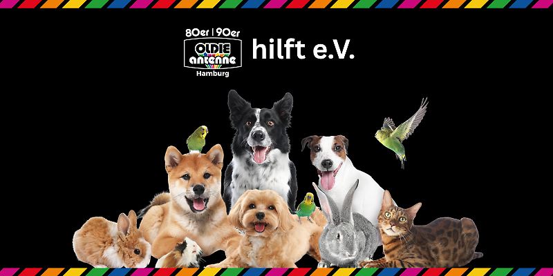 Widget: HAMBURG ZWEI hilft e.V. Spendenkonto