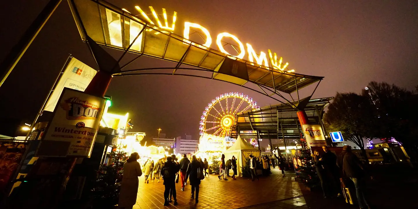 Hamburger Dom, Riesenrad, Dom