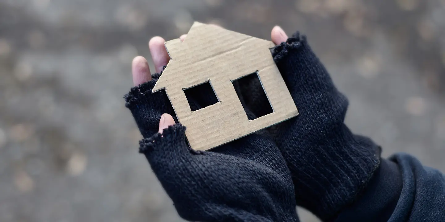 Obdachlos, Wohnungslose