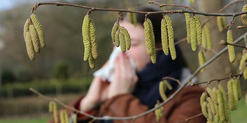 Frau mit Heuschnupfen vor Baum mit Pollen