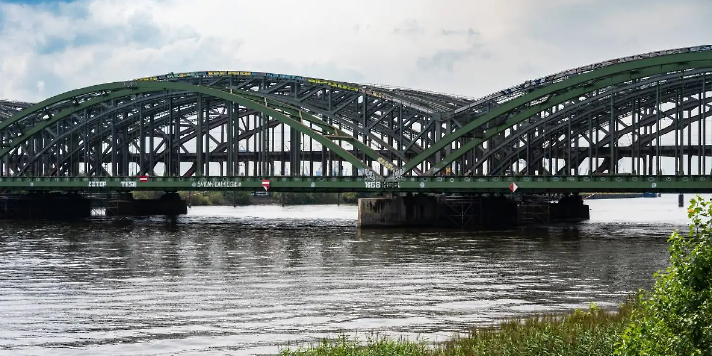 Freihafenelbbrücke, Brücke