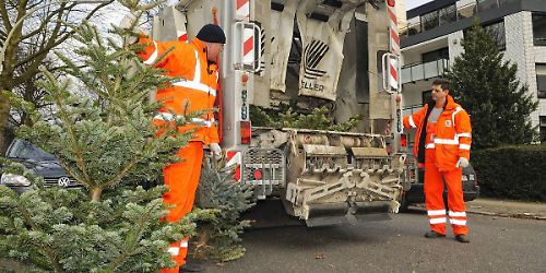 Weihnachtsbaumsammlung, Weihnachten, Stadtreinigung Hamburg, Weihnachtsbaum