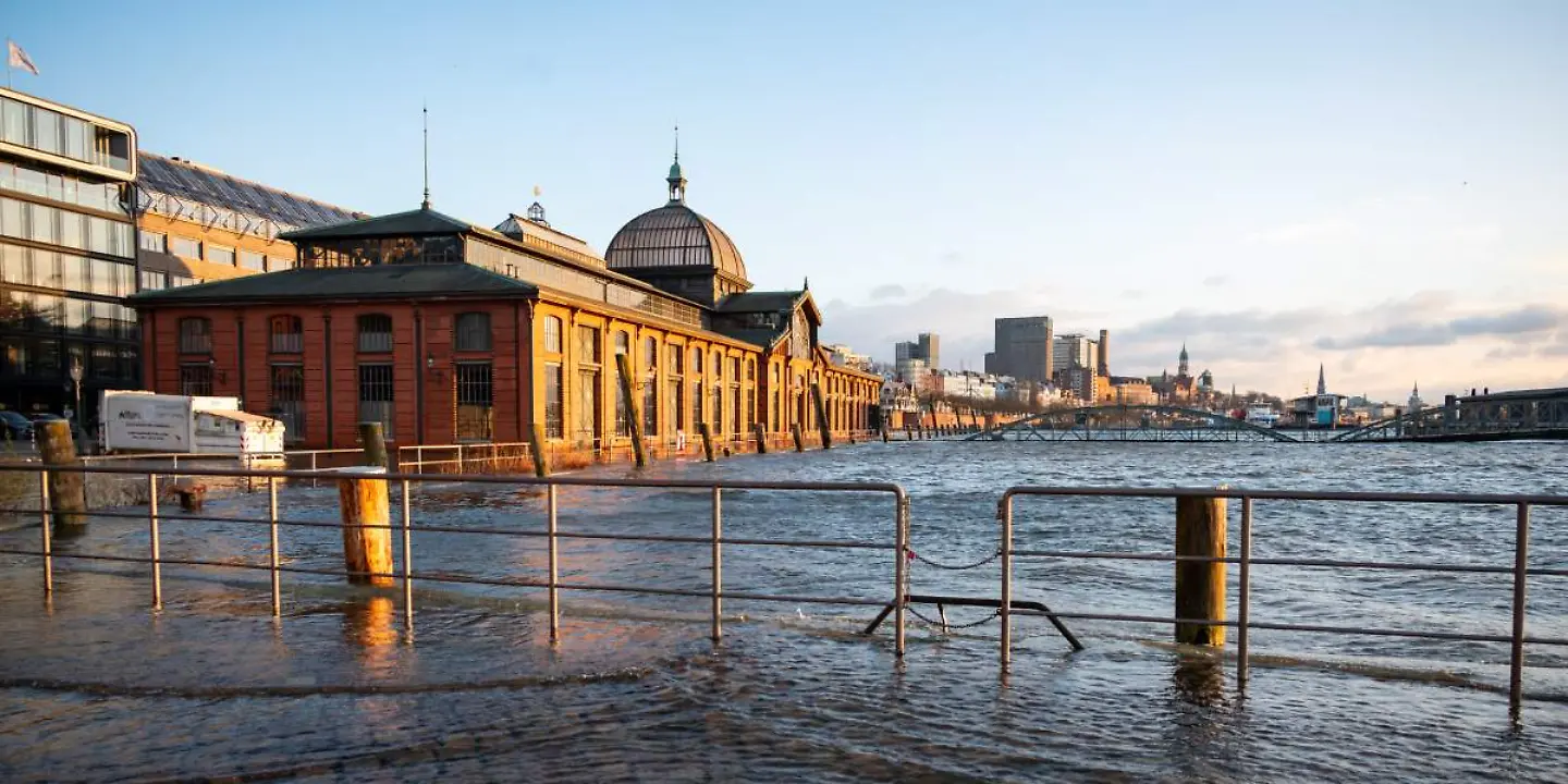 Sturmflut Hamburg, Fischauktionshalle