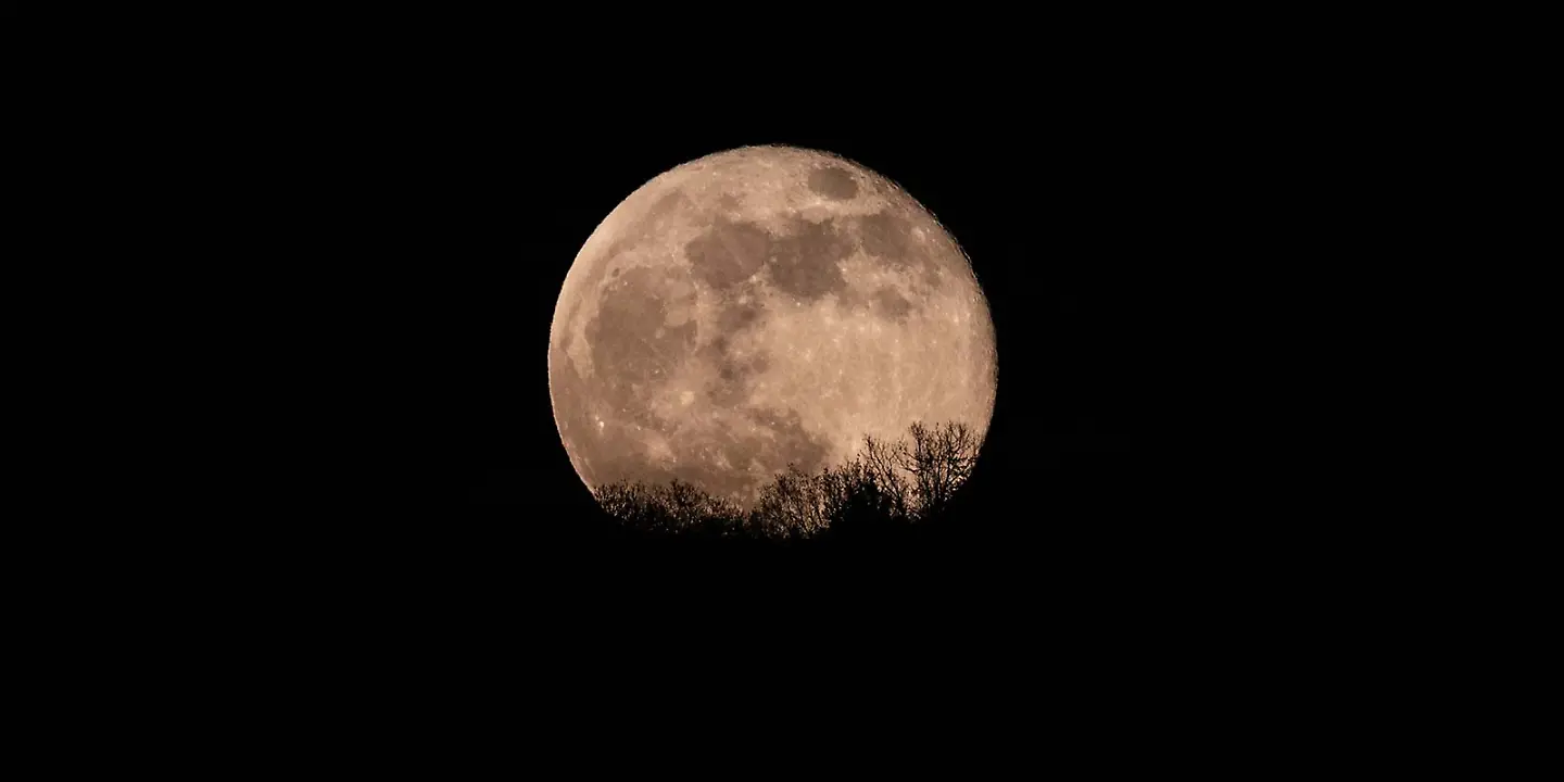 Supermond über Wald