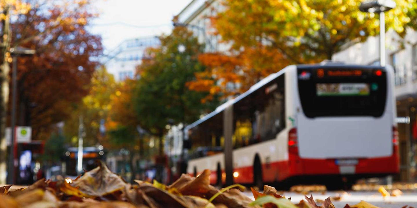 Bus fährt im Herbst durch die Mönckebergstraße