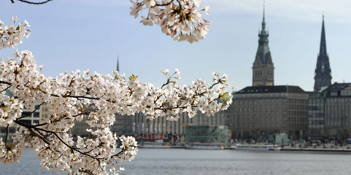 Frühling an der Hamburger Binnenalster