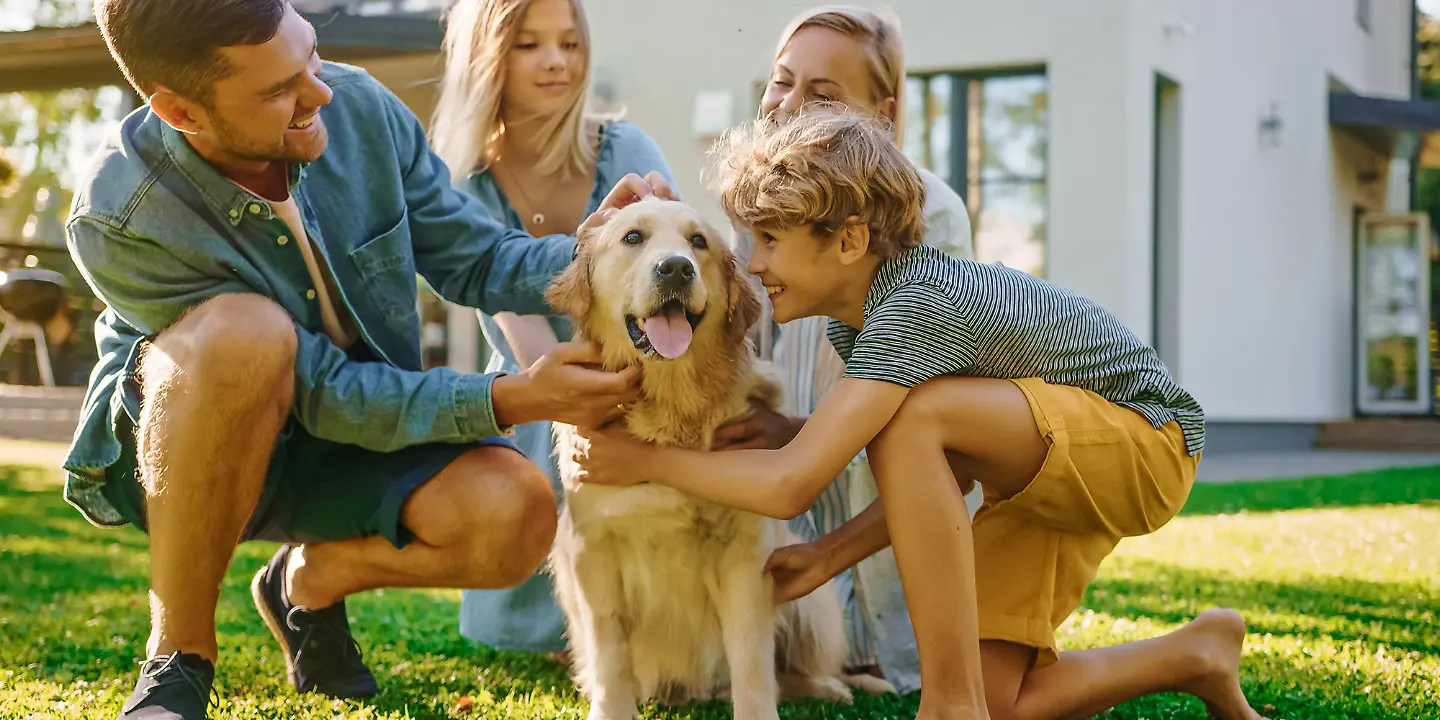 Hund, Familienhund