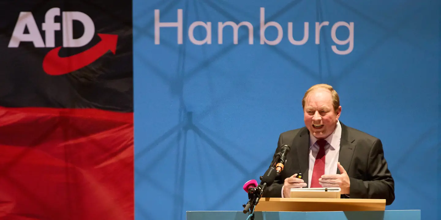 Dirk Nockemann, AfD Hamburg