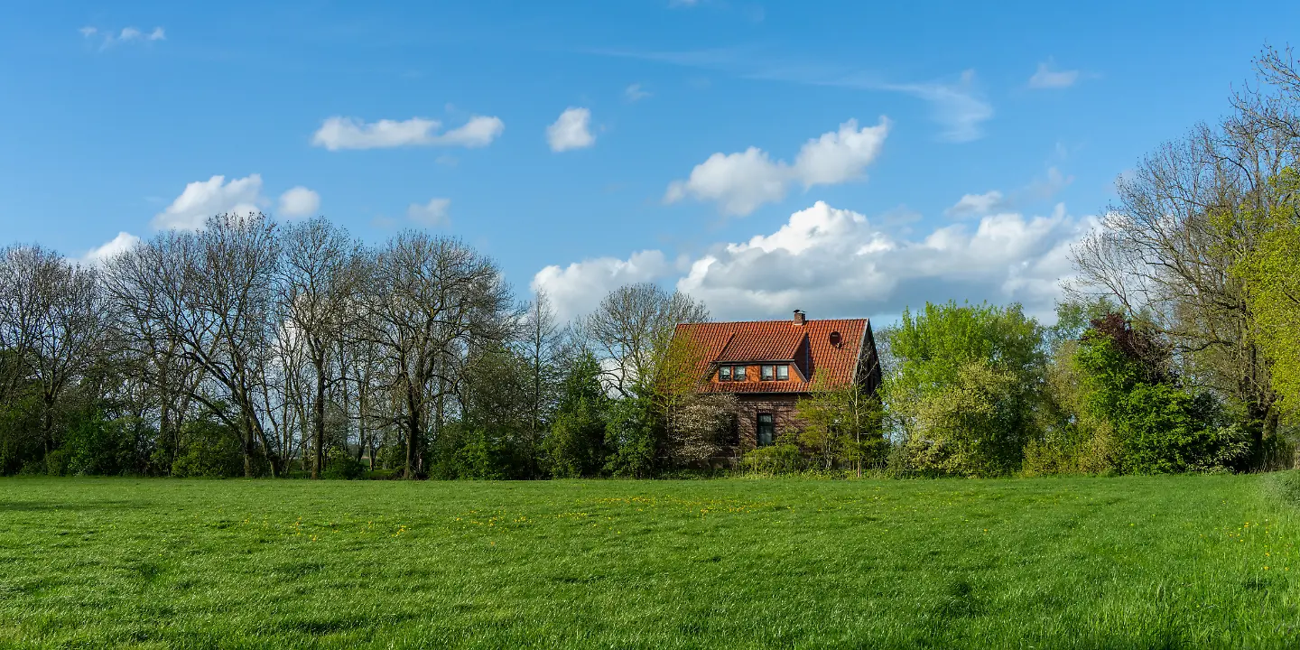 Neuenfelde, Stadtteil der Woche