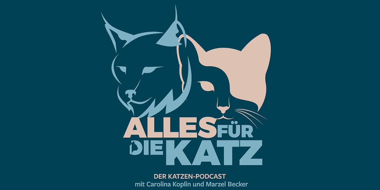 Alles für die Katz - der Katzenpodcast
