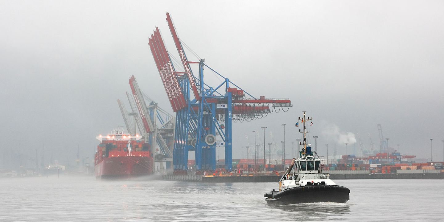 Schlepper und Containerschiff im nebligen Hamburger Hafen