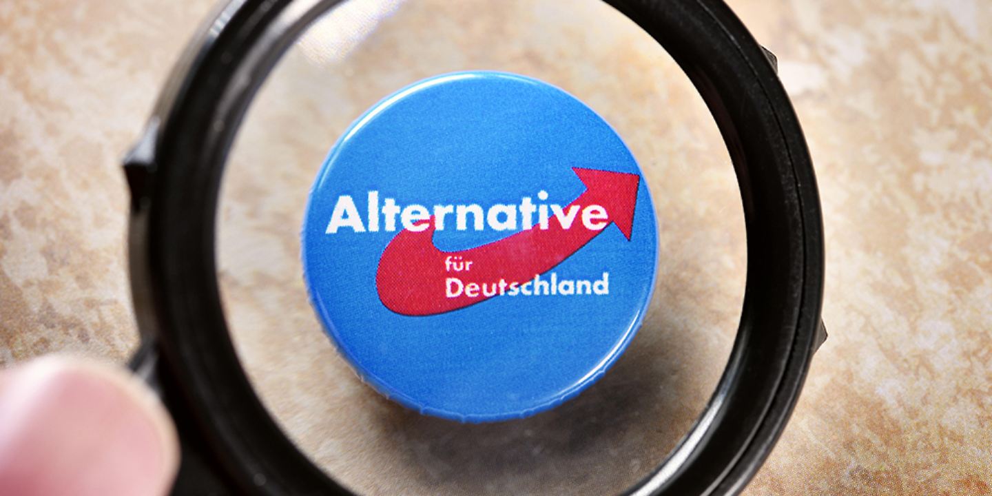 AfD, Alternative für Deutschland
