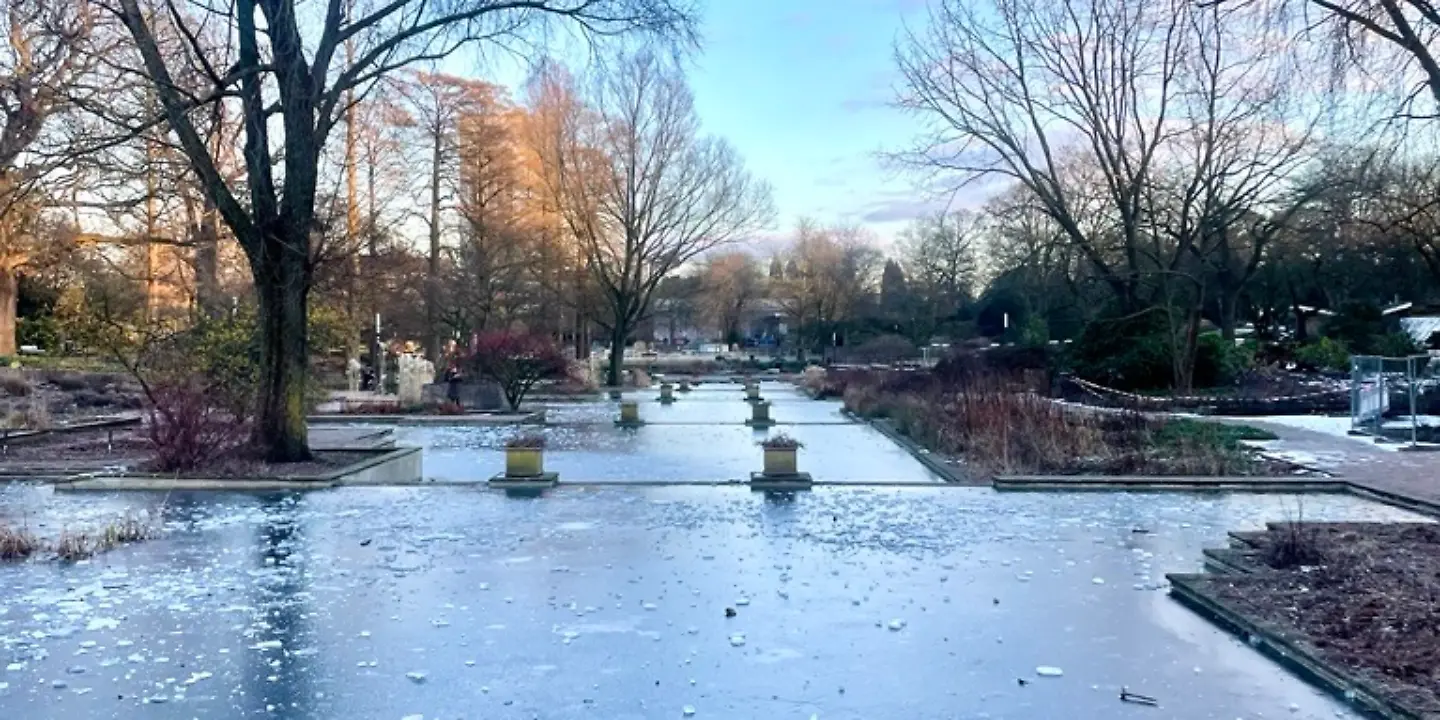 Planten un Blomen im Winter